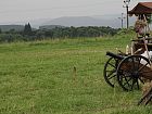 Fotografie č. 161