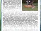Fotografie č. 16