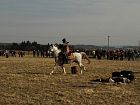 Fotografie č. 326