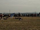 Fotografie č. 172